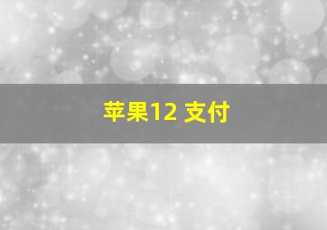 苹果12 支付